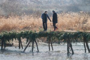 口臭サプリは逆流性食道炎の匂いを改善する効果があるのか？
