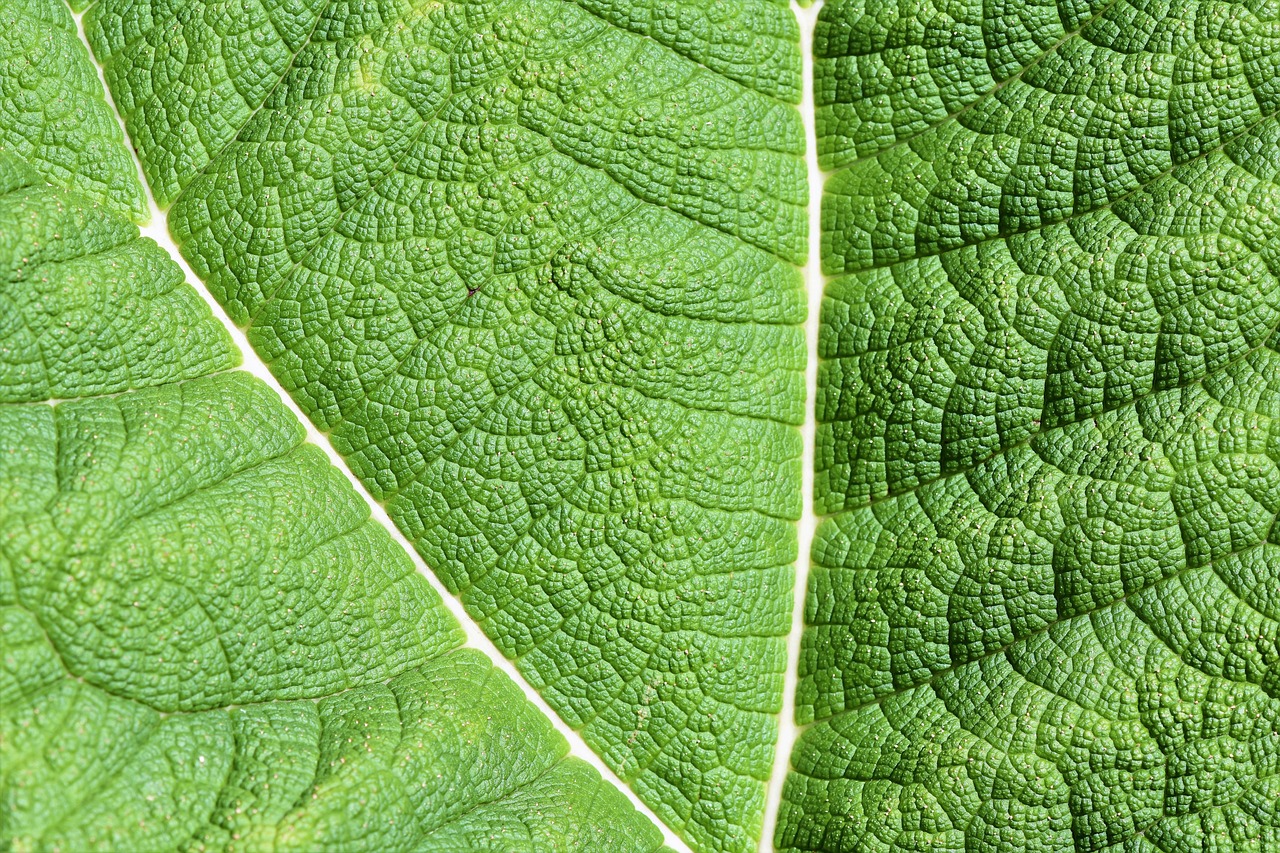 口臭サプリの中で安いコスパが上位のおすすめ商品は？