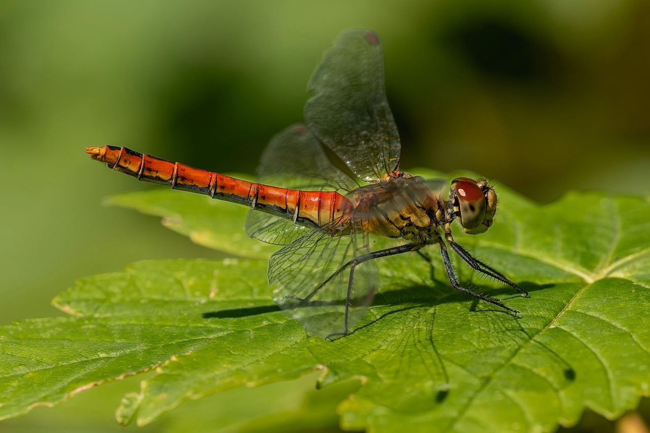 口臭サプリの種類別口コミで長持ちするものはどれ？