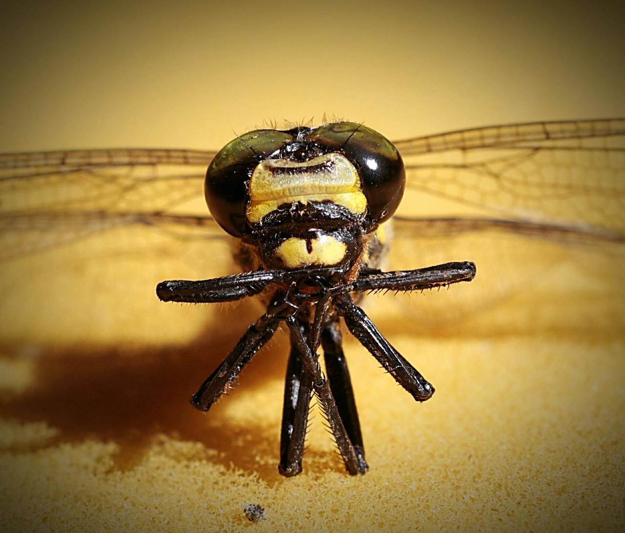 口臭サプリの飲み方を工夫して長持ちさせる方法は？