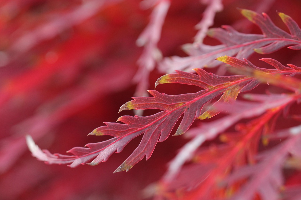 口臭サプリを使ったドライマウス対策で効果が長持ちする方法は？