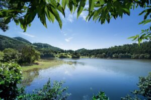 長持ちする口臭サプリの副作用について知っておくべきことは？