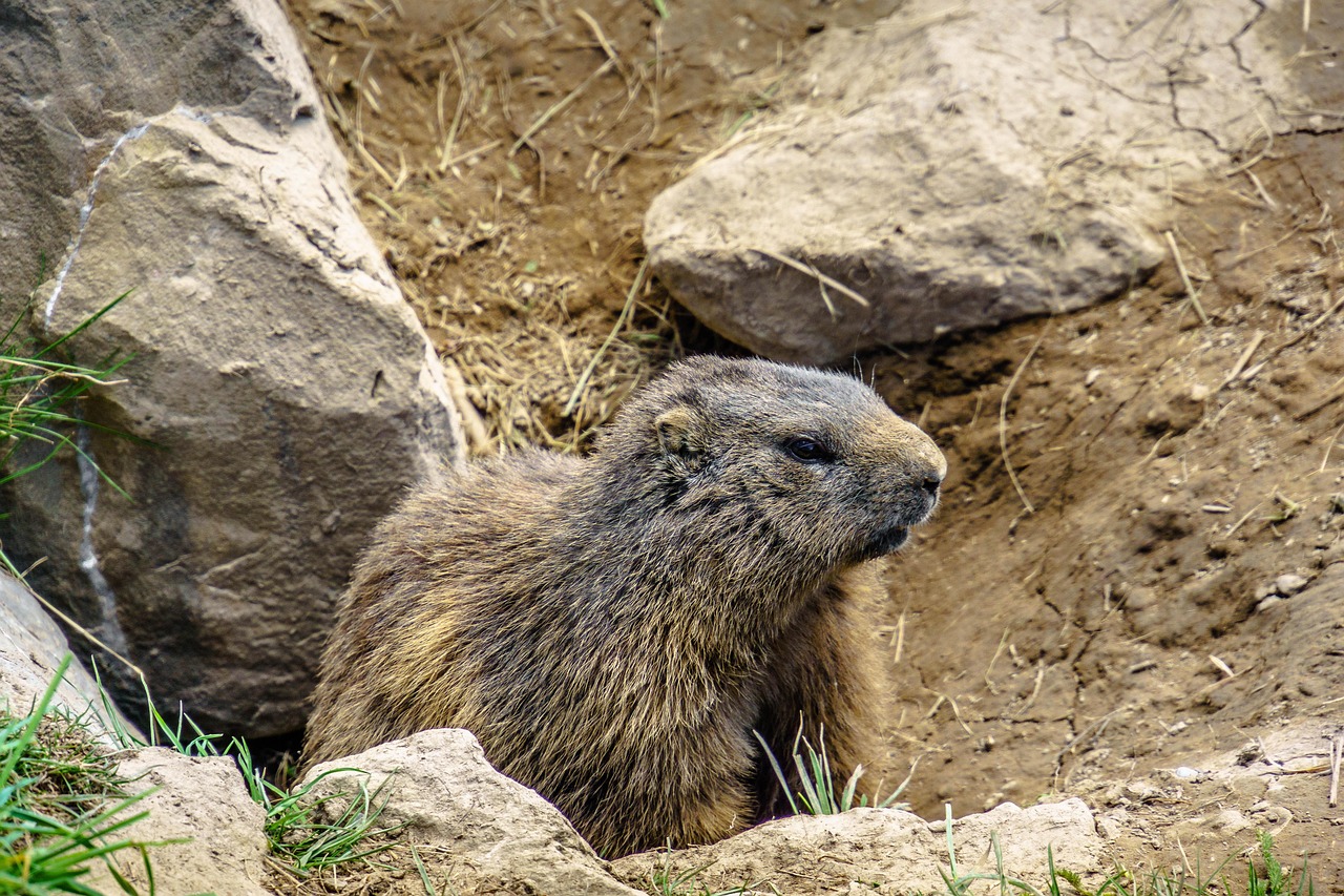 長持ちする口臭サプリの効能とその限界は？