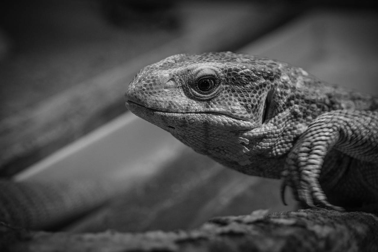 長持ちする口臭サプリを続けるためのコツは？