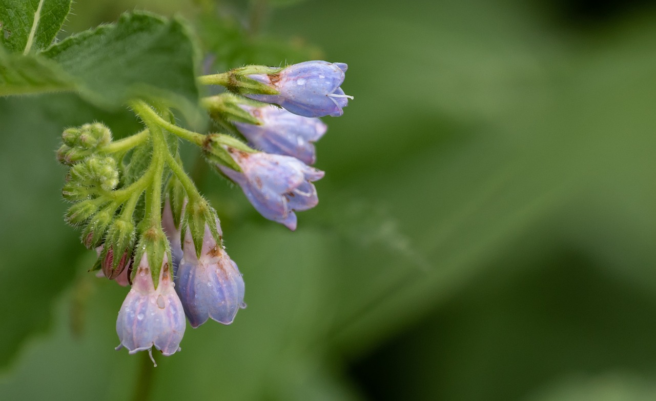 口臭対策に効果的な朝のサプリは？