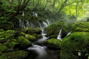 口臭が気になる方必見！サプリで体臭も消える方法は？